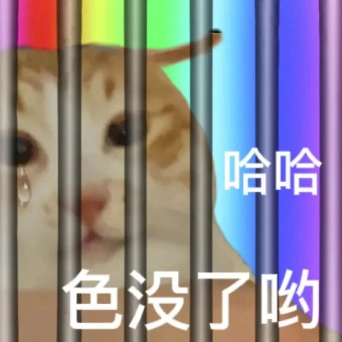 猫咪表情包 情侣聊天专用表情