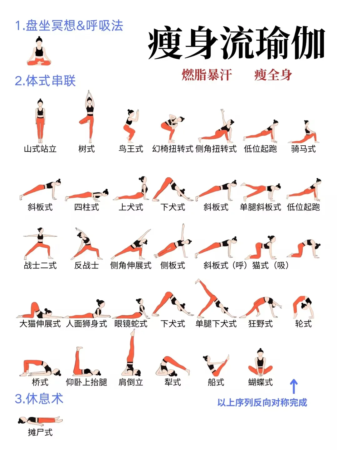 分享瑜伽老师们都在用的1️⃣8️⃣套排课❗