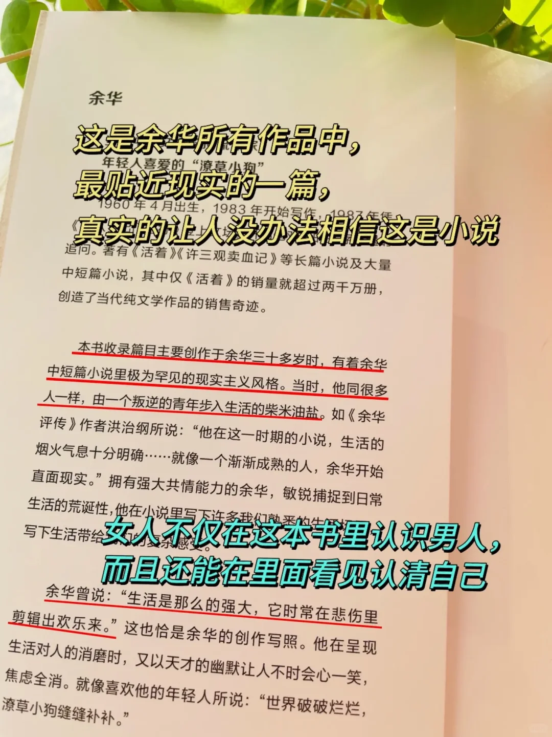 余华新作写尽中国式婚姻，简直不要太扎心！