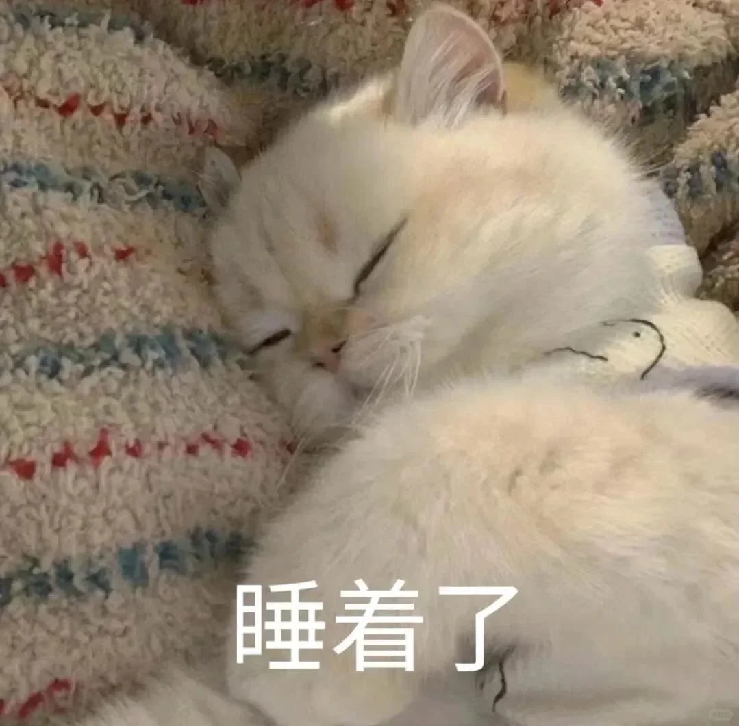 猫咪表情包 情侣聊天专用表情