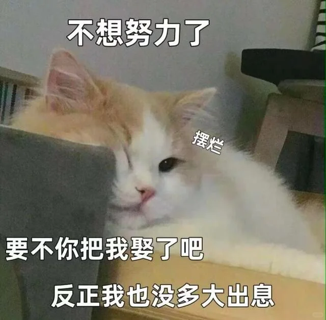 可爱猫咪发给对象表情包