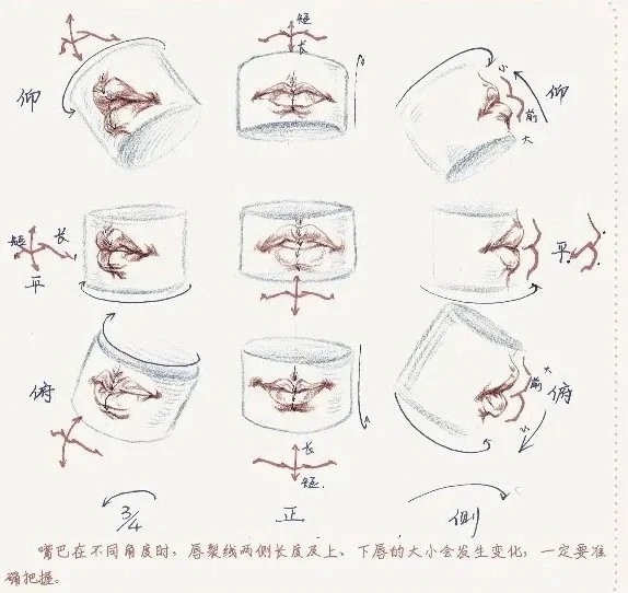 必备的人体结构（嘴部）画法分享