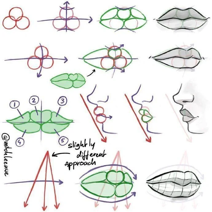 ?必备的人体结构（嘴部）画法分享