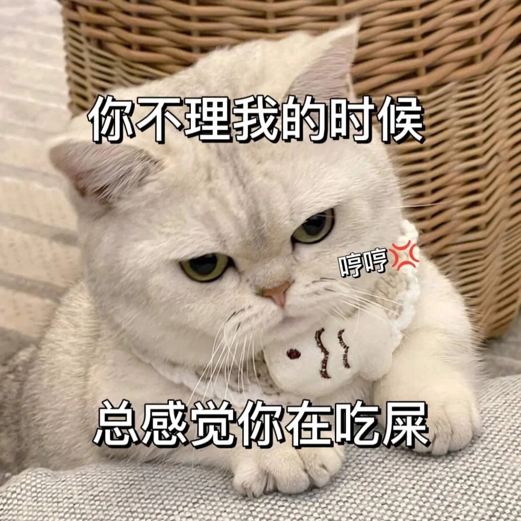 可爱猫咪发给对象表情包