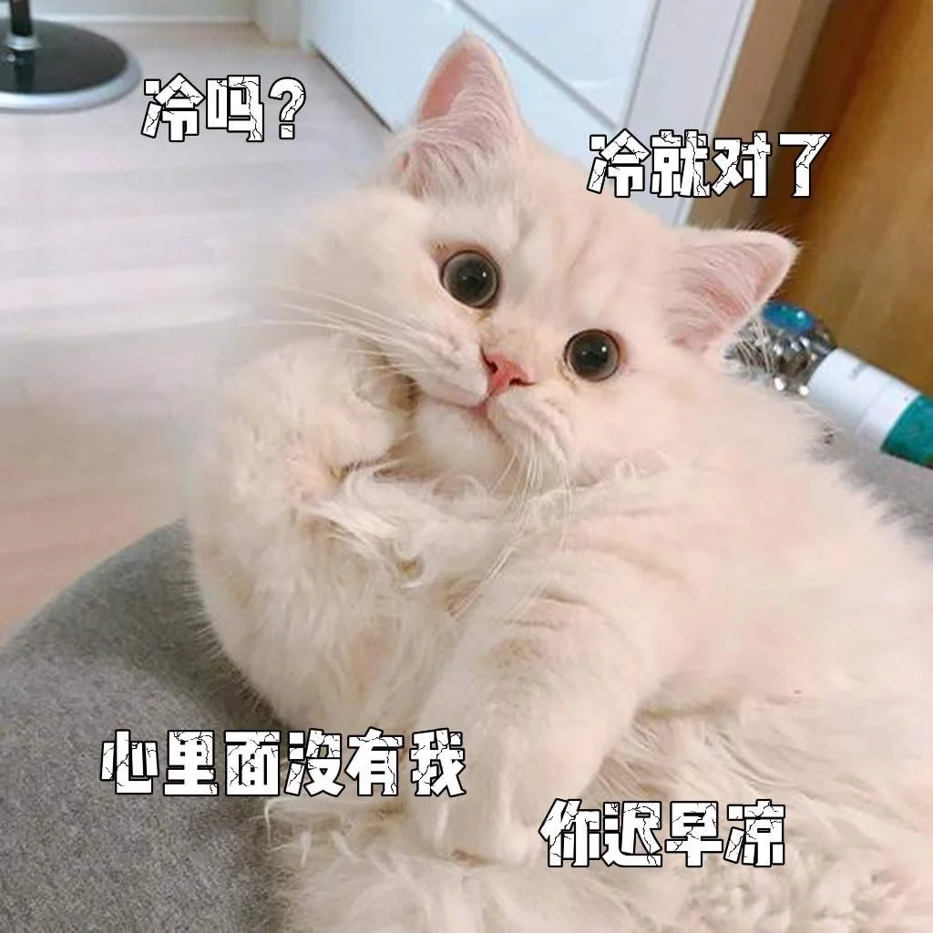 可爱猫咪发给对象表情包