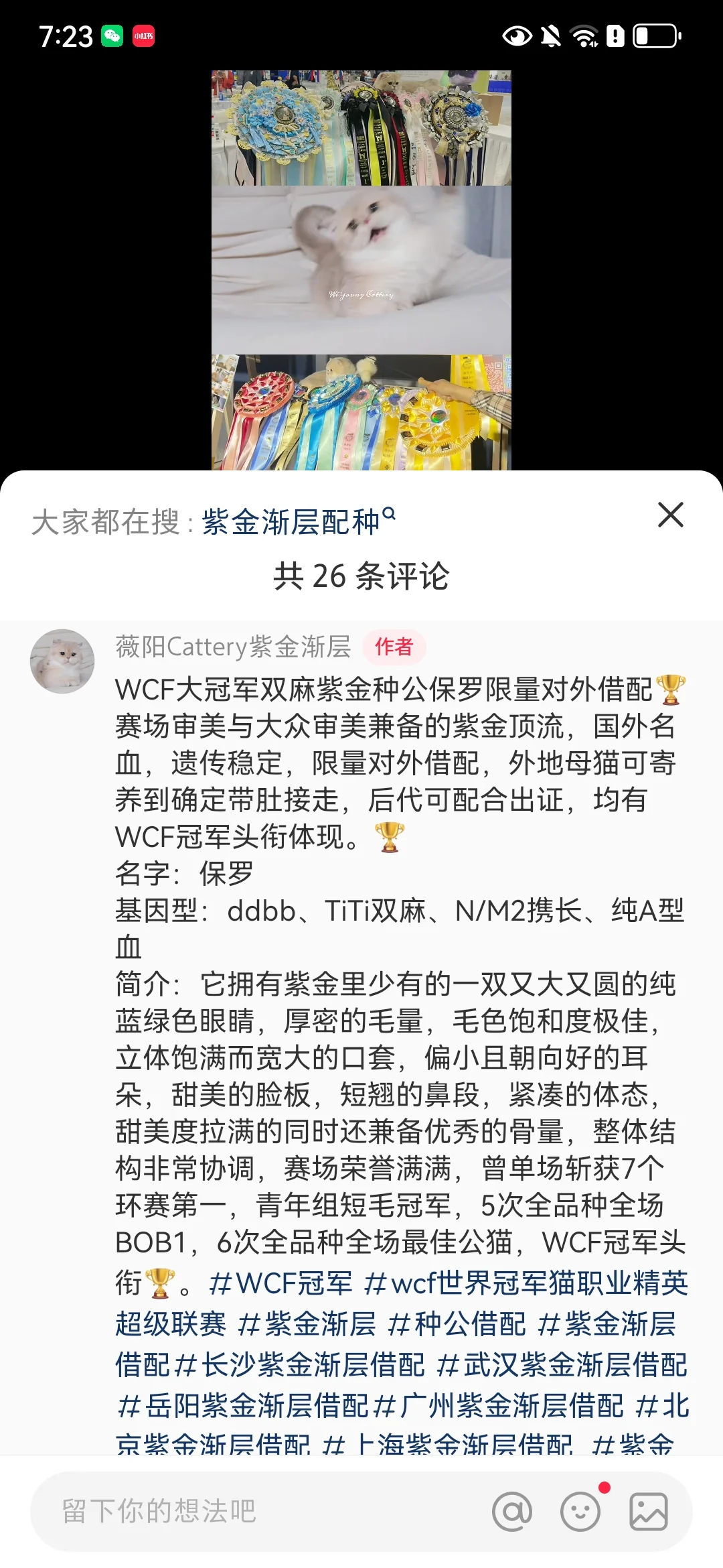 紫金甜妹搭配紫金 保罗