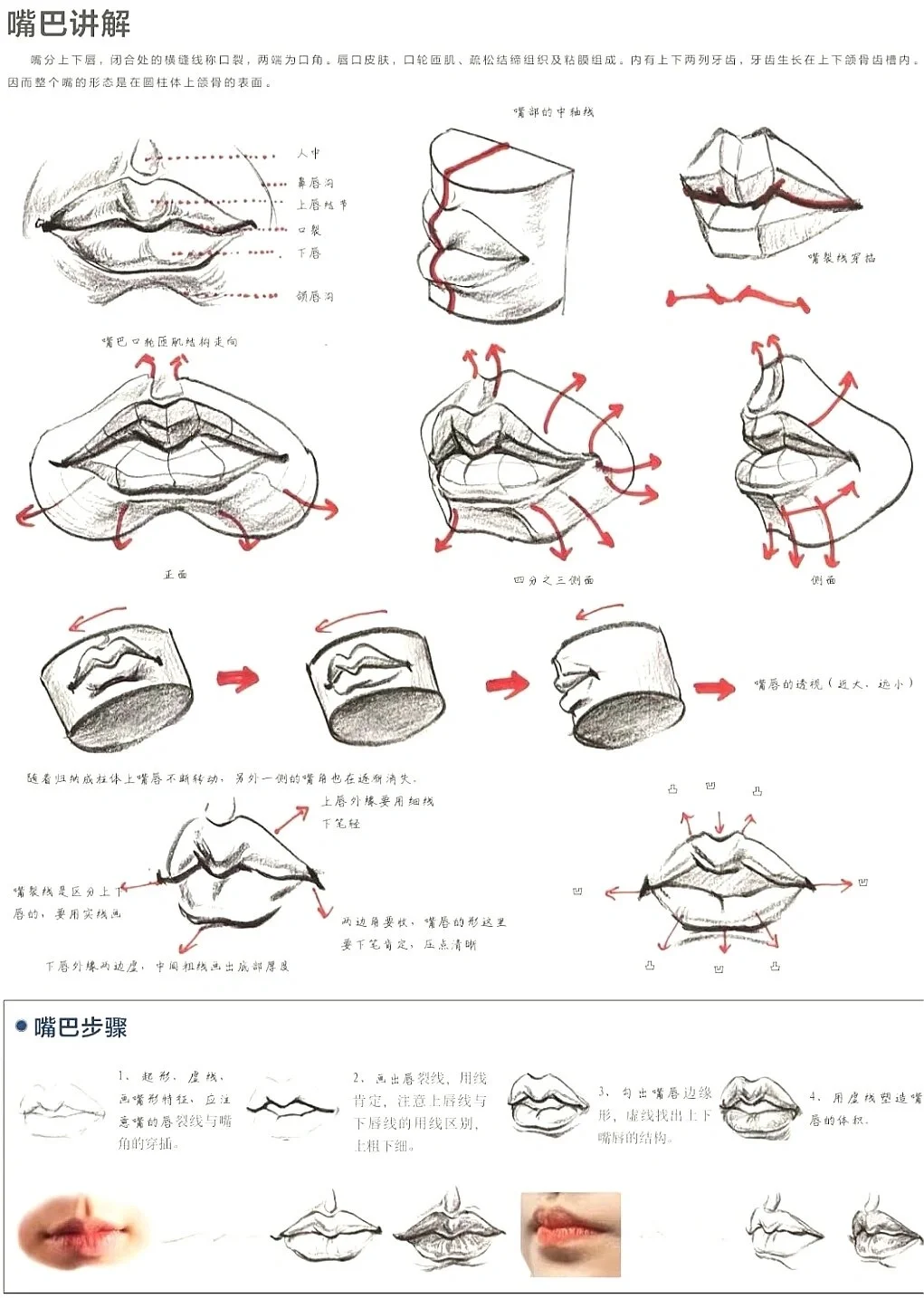 必备的人体结构（嘴部）画法分享