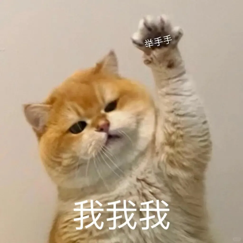 超级可爱的猫猫表情包