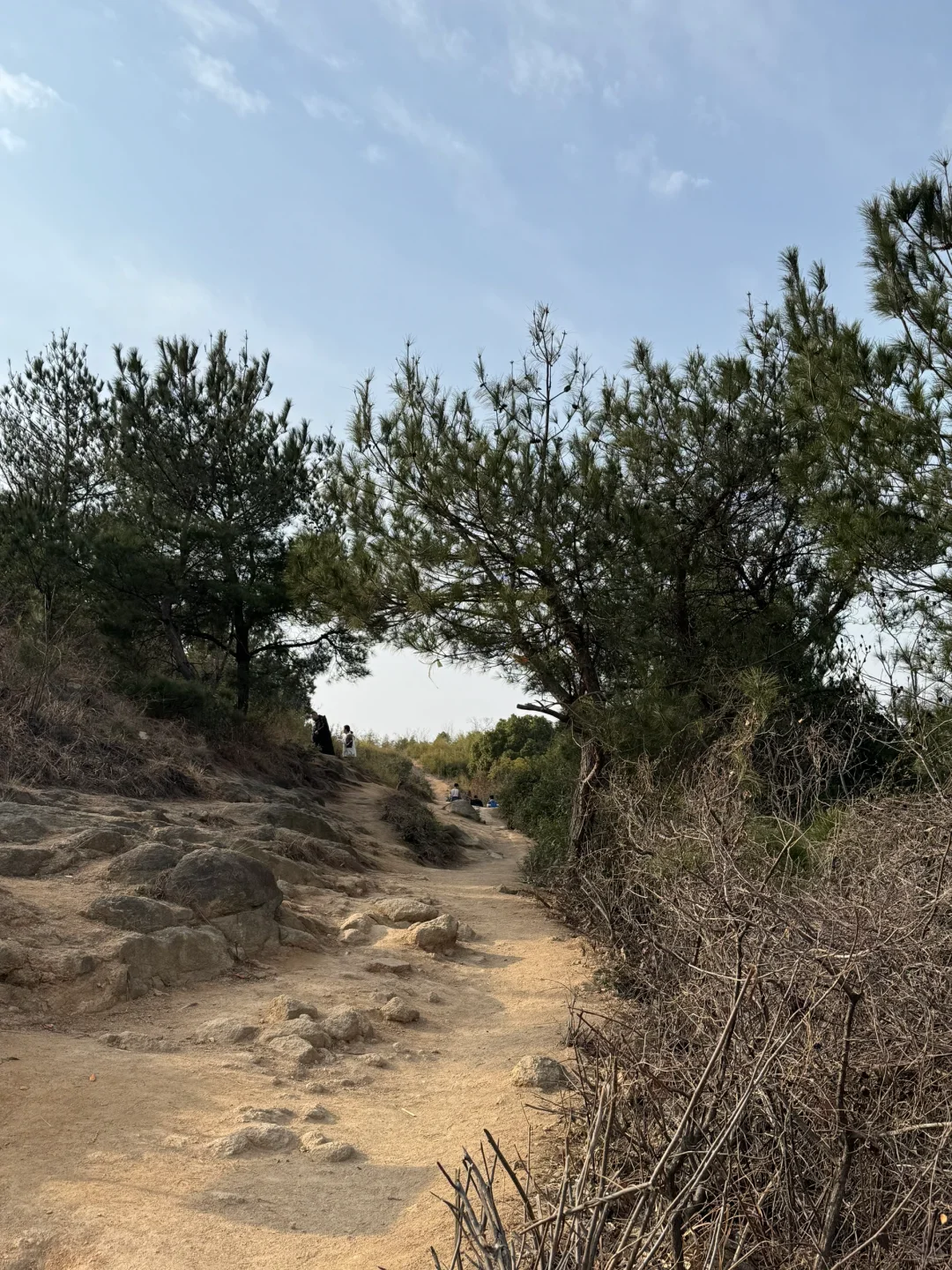 用脚步丈量自然，高颜值运动女孩的爬山之旅