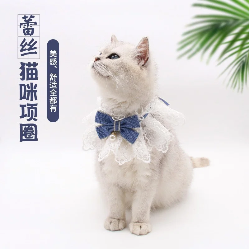 猫咪春季必备?蕾丝项圈