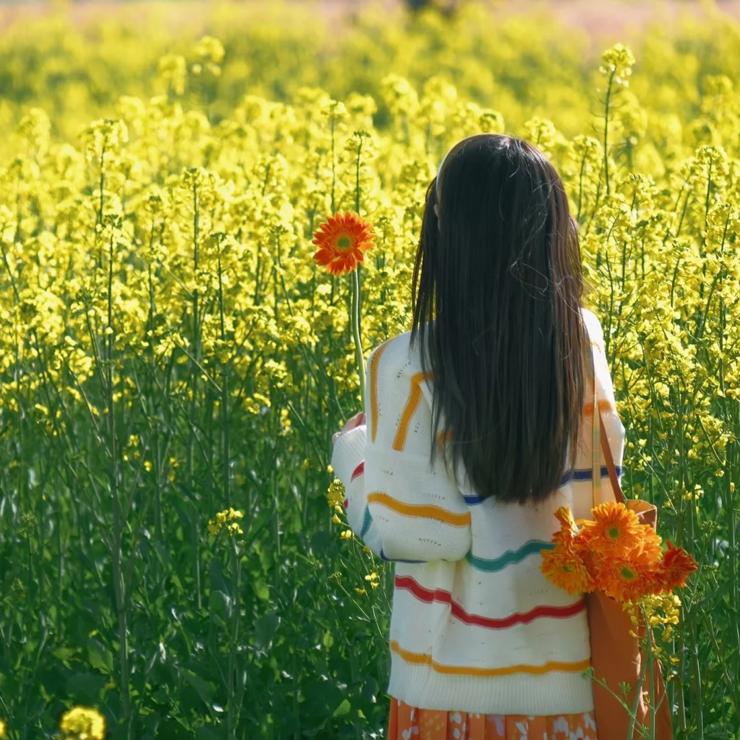 WeChat女头|花香浮华 在记忆里最美