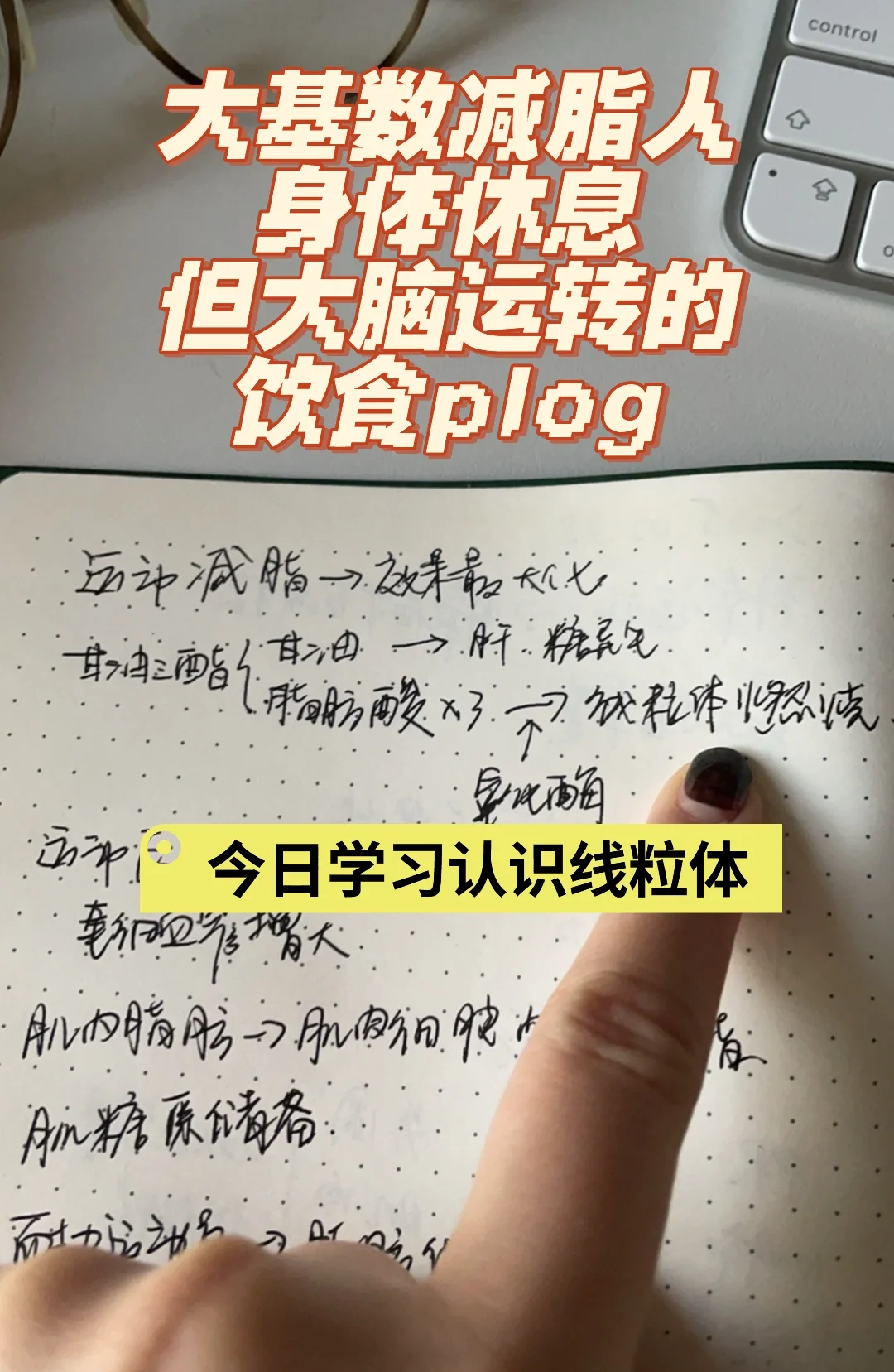 7点小结，我们减脂女做什么都会成功的