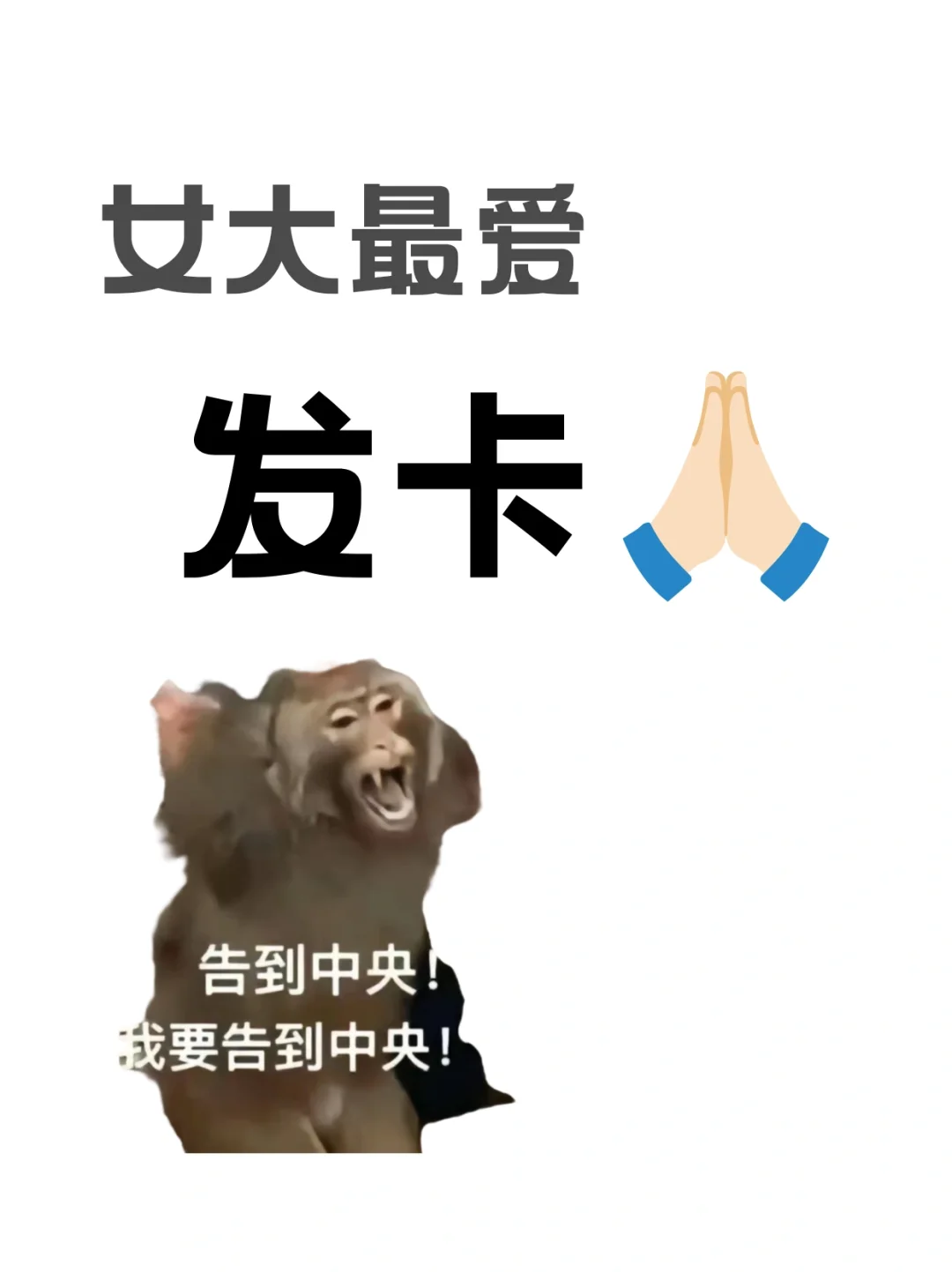 发量多！活力女大！求发卡推荐！