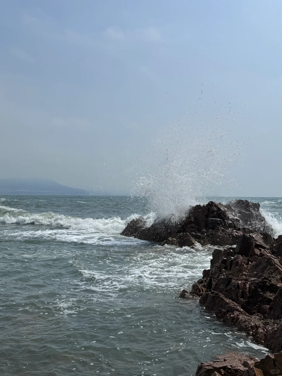 青岛小麦岛