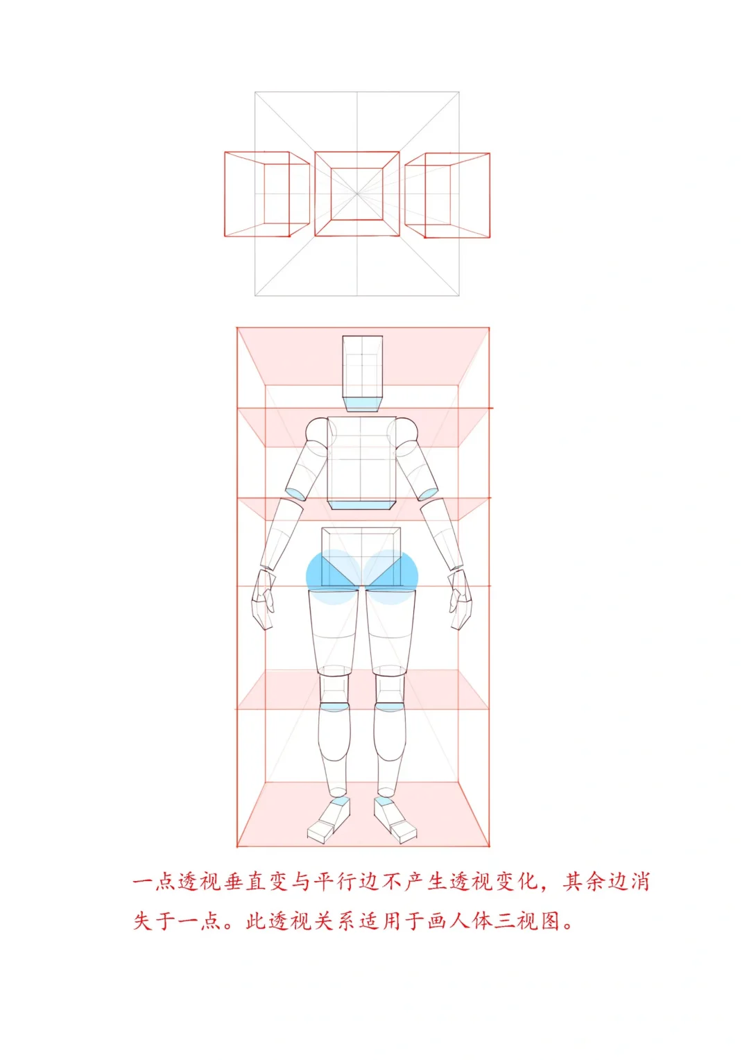 七张图让你快速理解人体透视和空间关系～