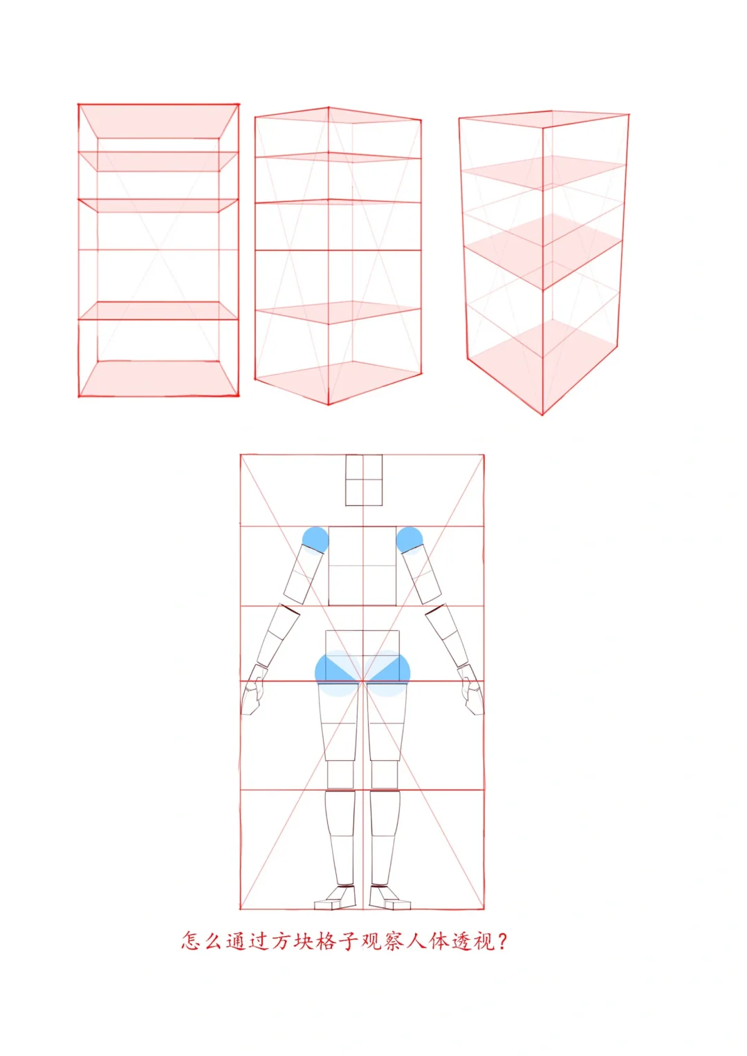 七张图让你快速理解人体透视和空间关系～
