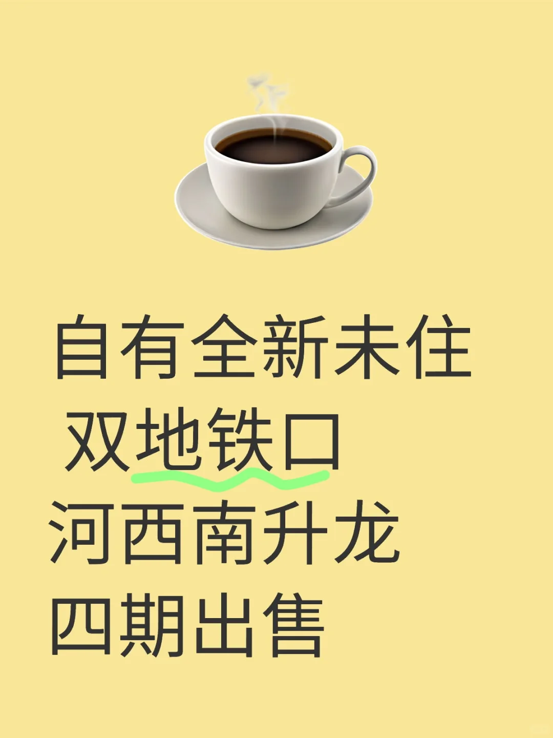 自有全新未住 双地铁口河西南升龙四期出