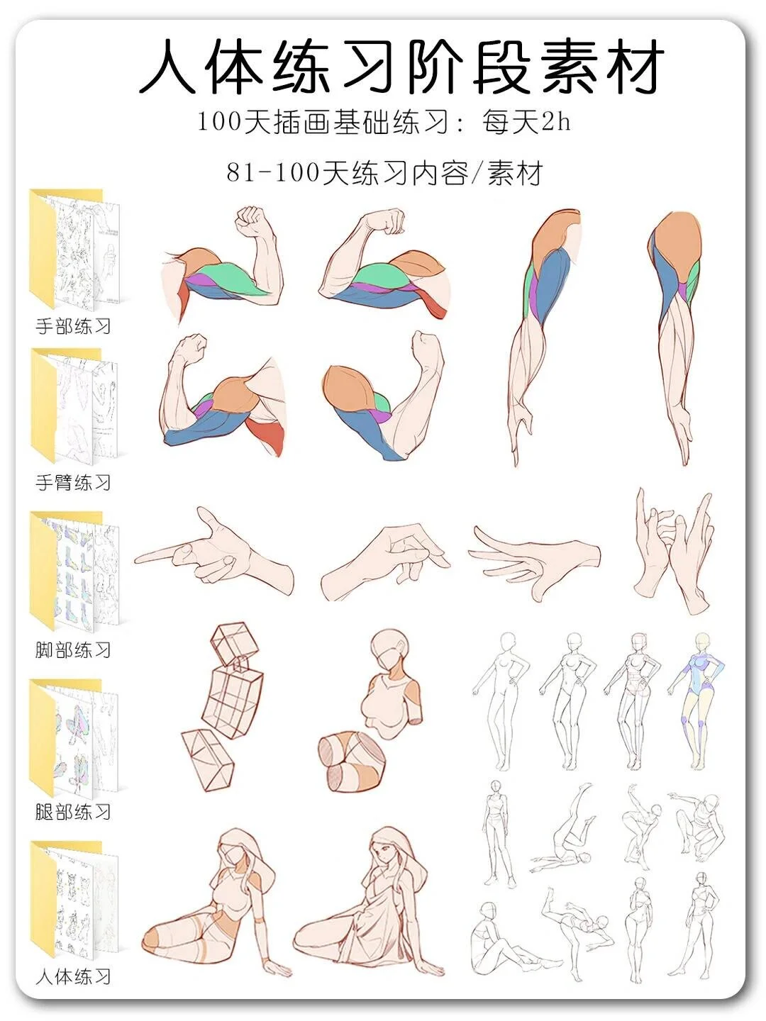 ?安卓和iPad可以用的9款插画软件⊙∀⊙