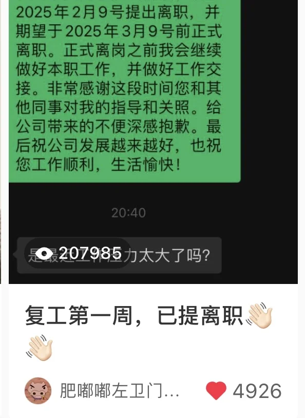 二十万人围观过的裸辞提离职后续