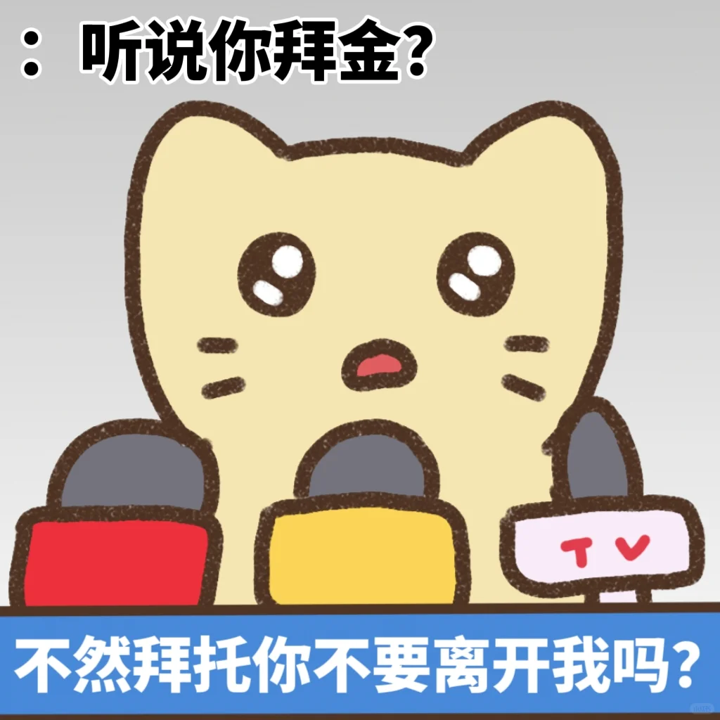 抽象小猫采访集 硬核发言精选