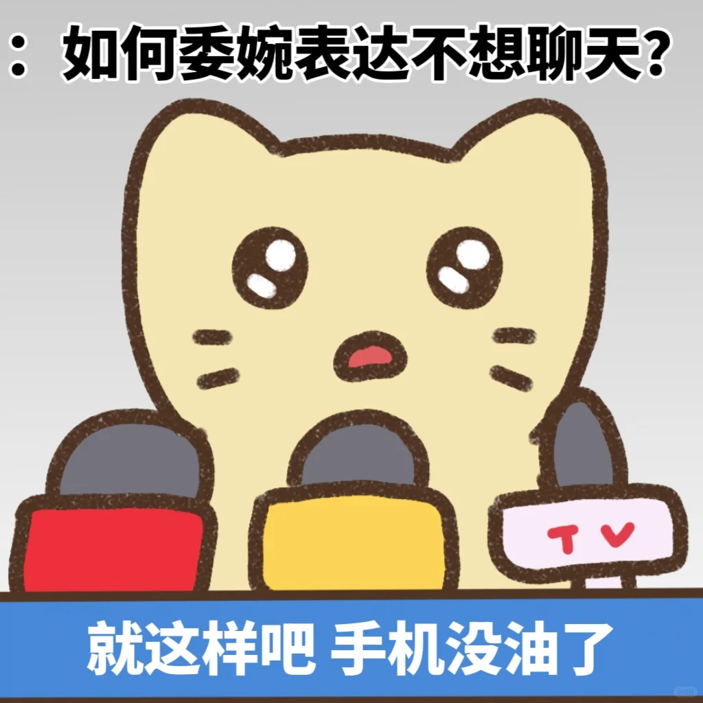 抽象小猫采访集 硬核发言精选