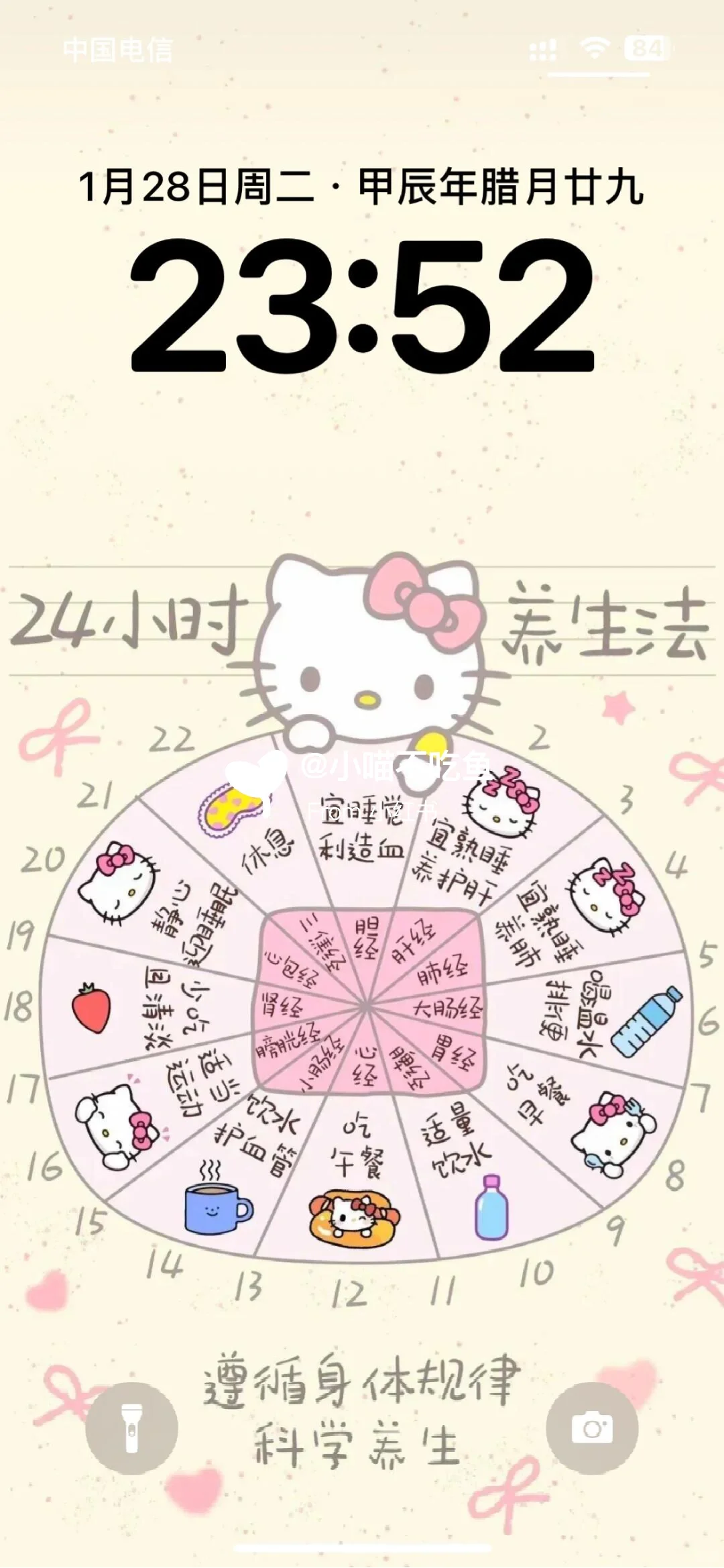 24小时养生法hello Kitty手机壁纸套图1.6