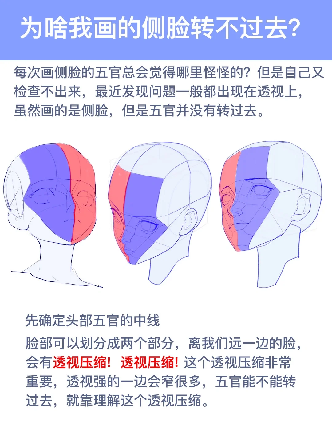 学习笔记23:为啥我的侧脸转不过去？