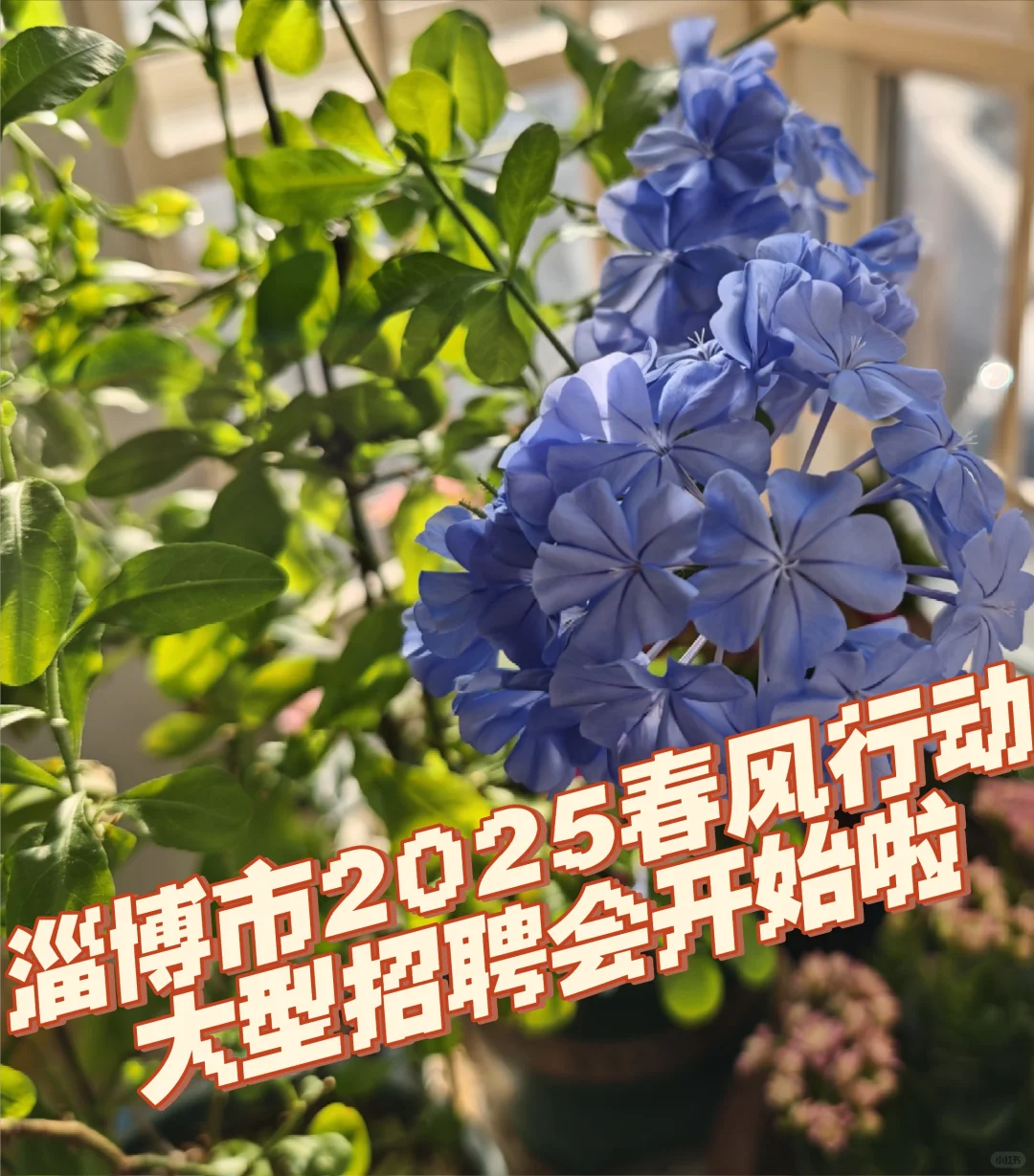 淄博市2025年春风行动招聘会信息汇总