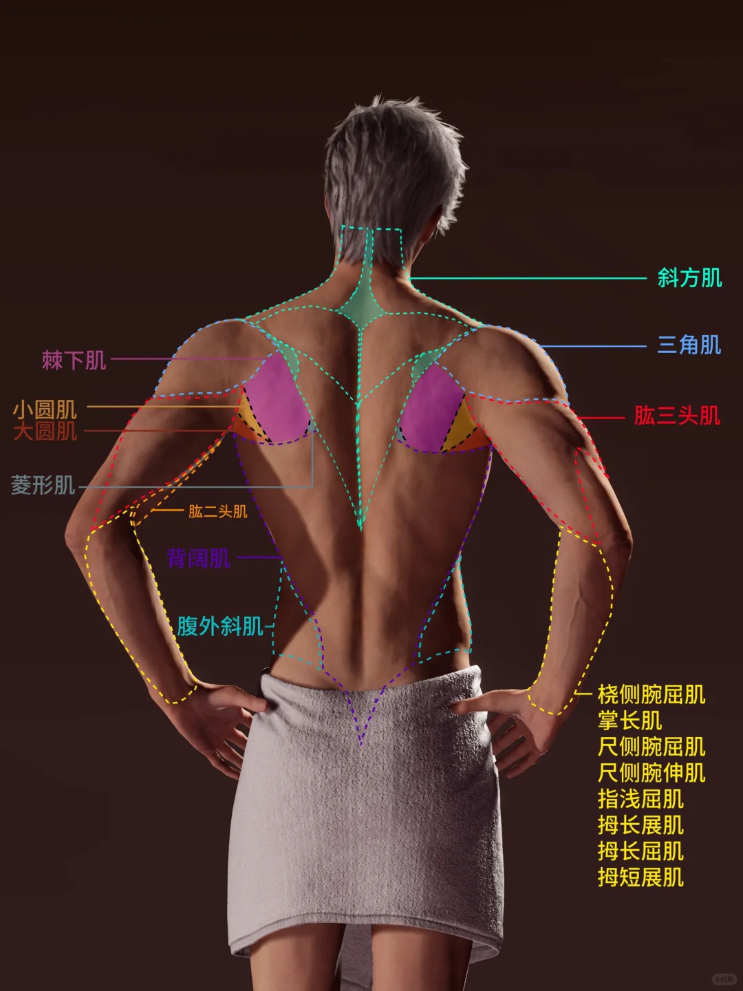 恋与深空 ：只要98，肌肉打光参考软件带回家