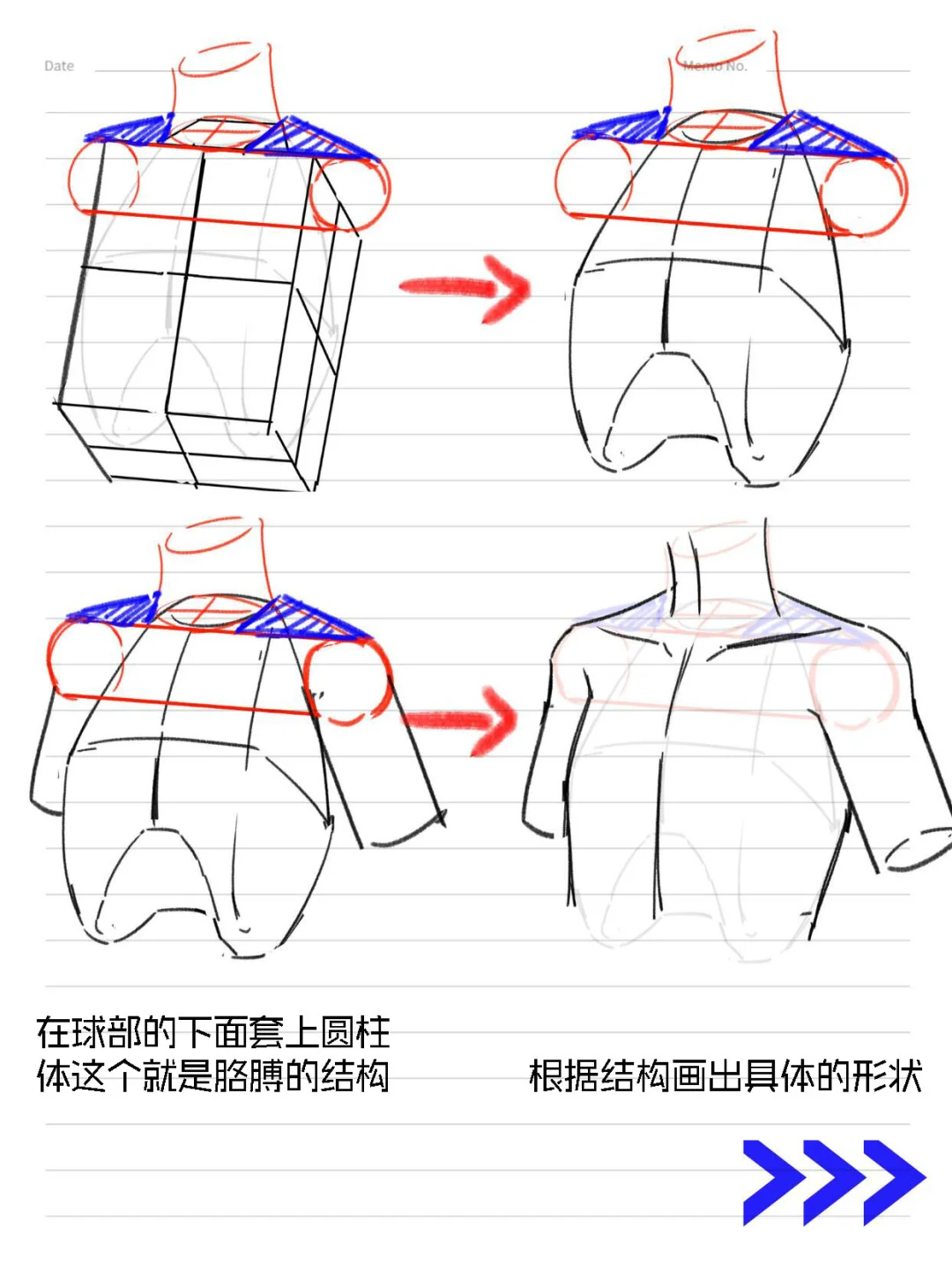 新手必看~人体躯干之胸腔绘画教程