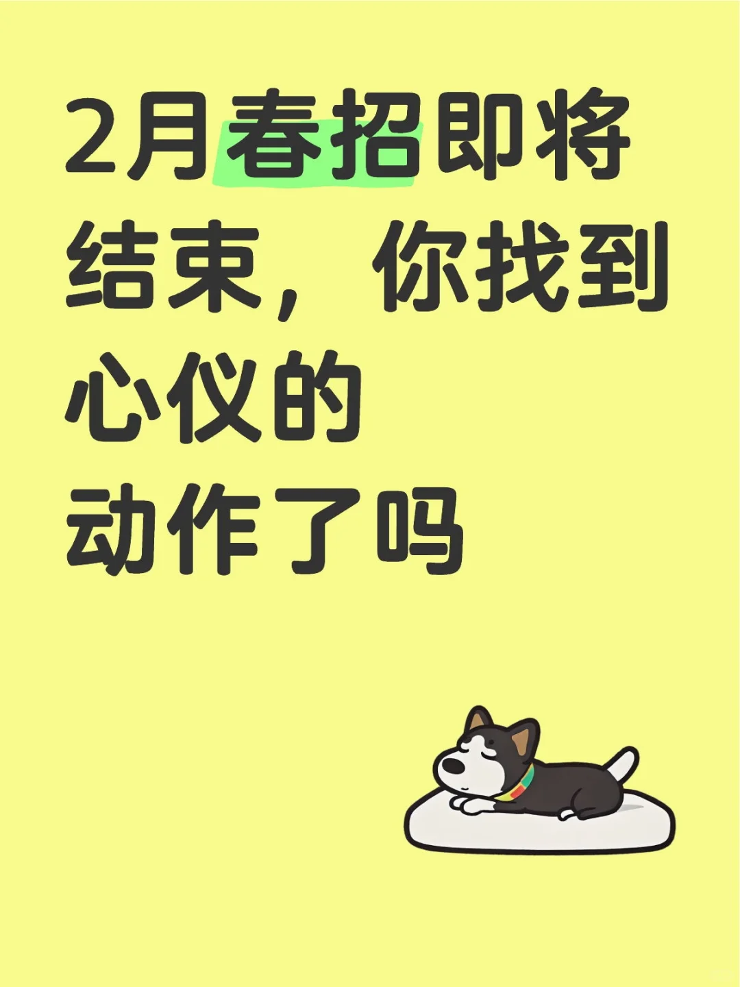 春招即将结束，手慢无！