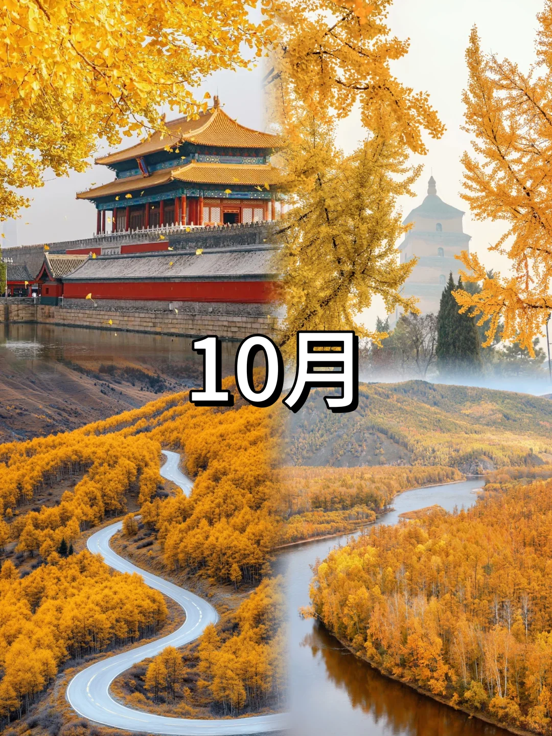 2025年亲子旅行计划✔️承包一整年的快乐！