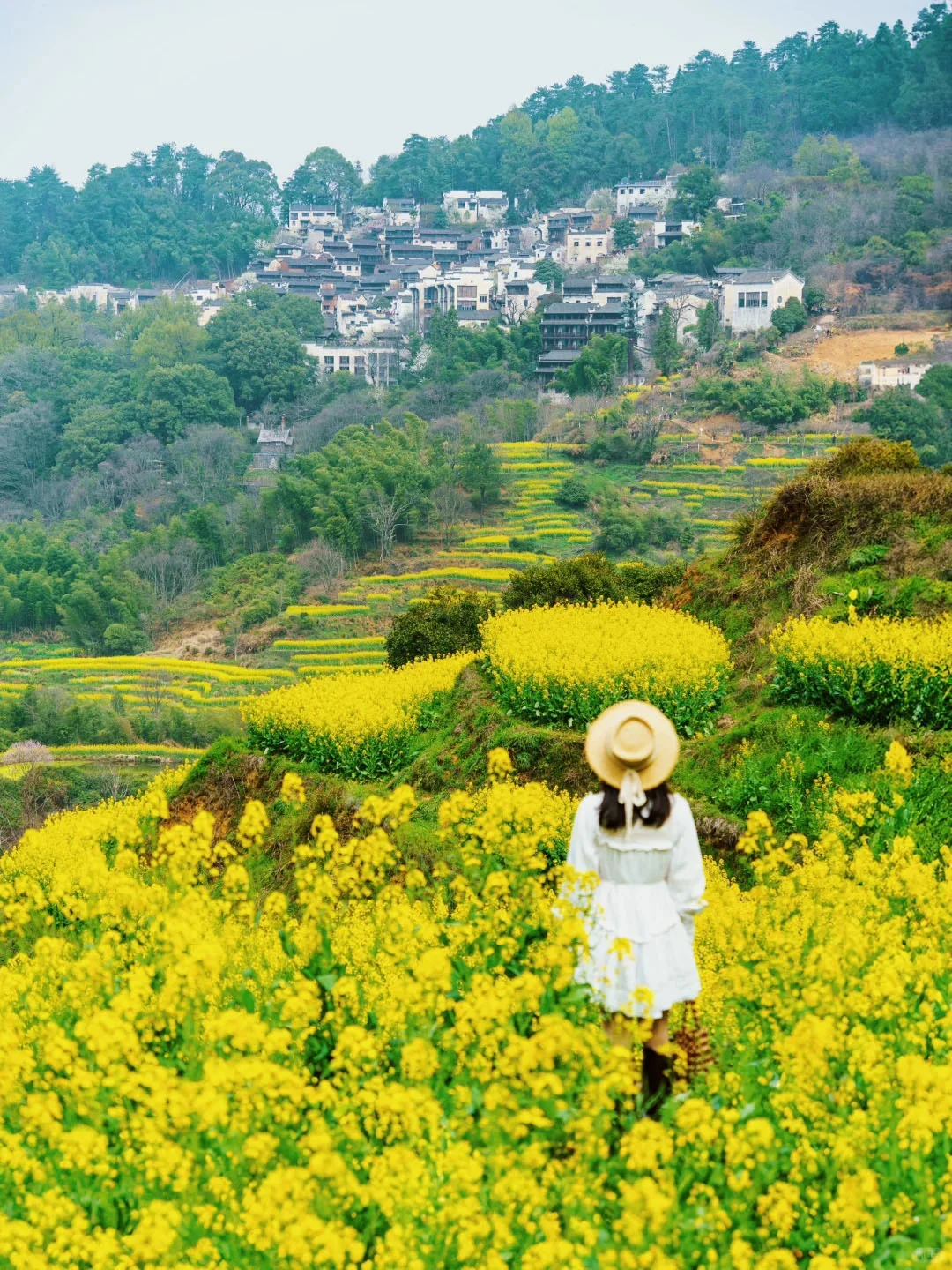 3-4月婺源赏花！国家地理推荐的古村有多绝