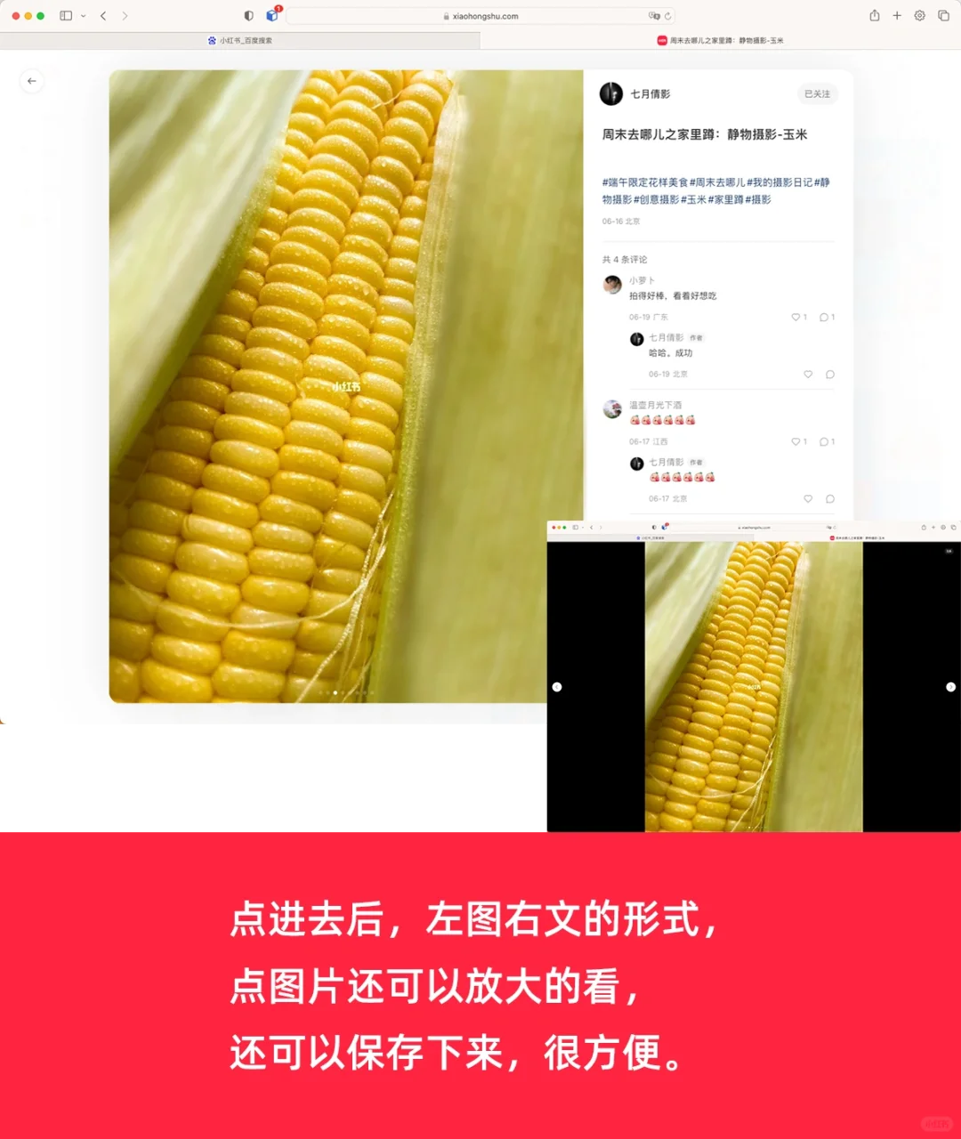 教程丨又大又香?小红书电脑网页版来啦‼️