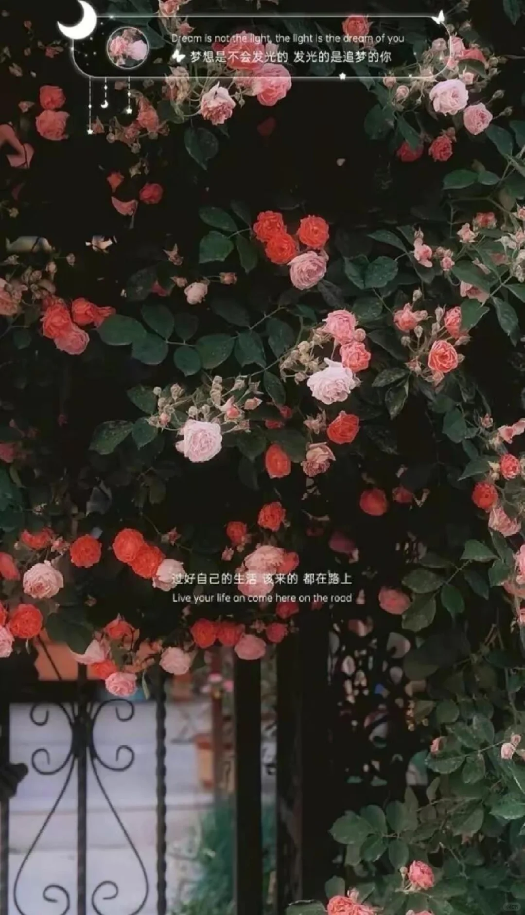 生活嘛，一笑而过就好啦~