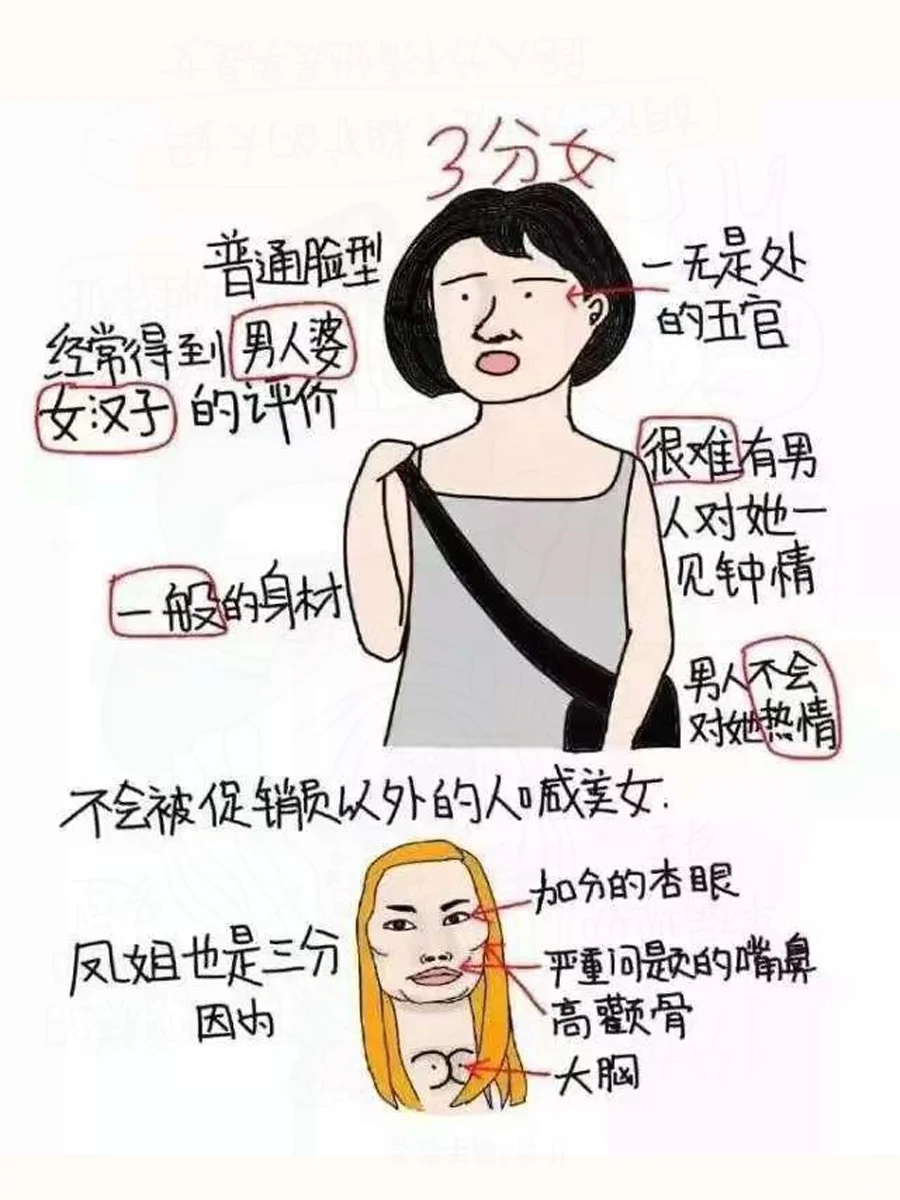 网上热传的女生外貌打分标准