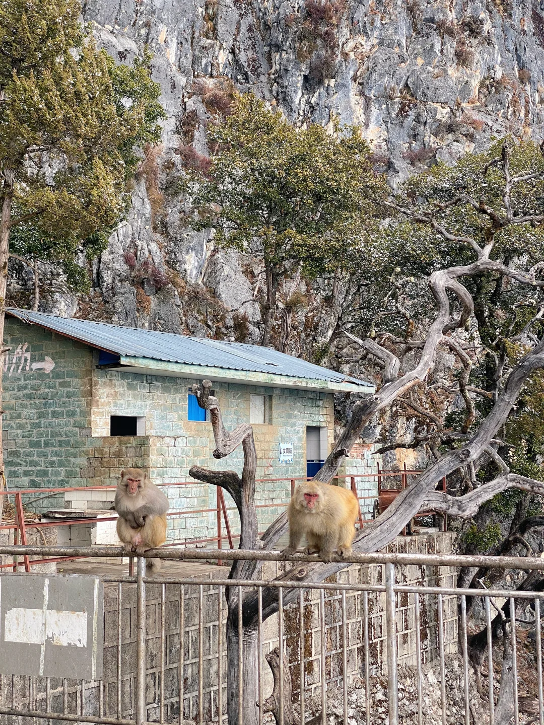 女神山的?们