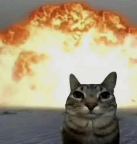 聊天专用猫猫表情包来喽～