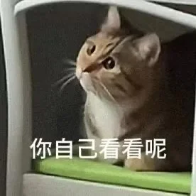 聊天专用猫猫表情包来喽～