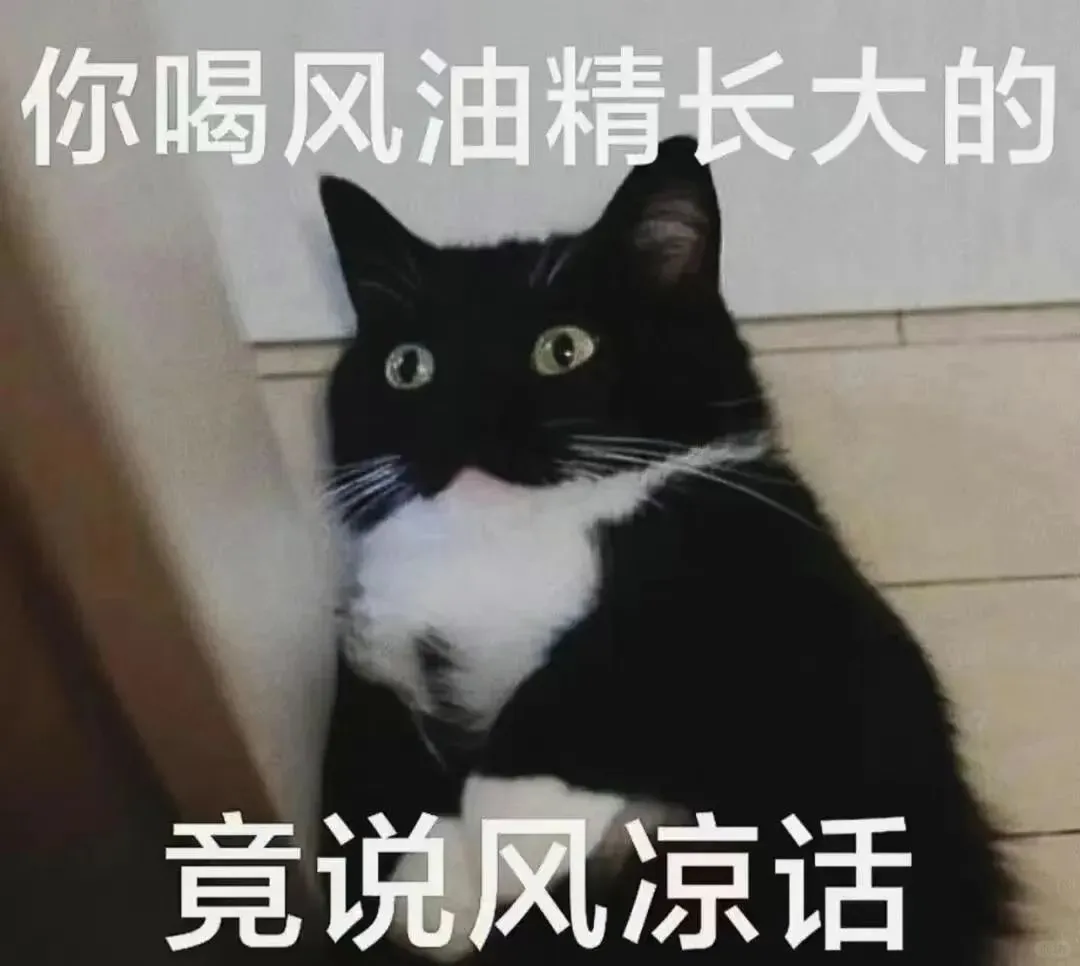 聊天专用猫猫表情包来喽～