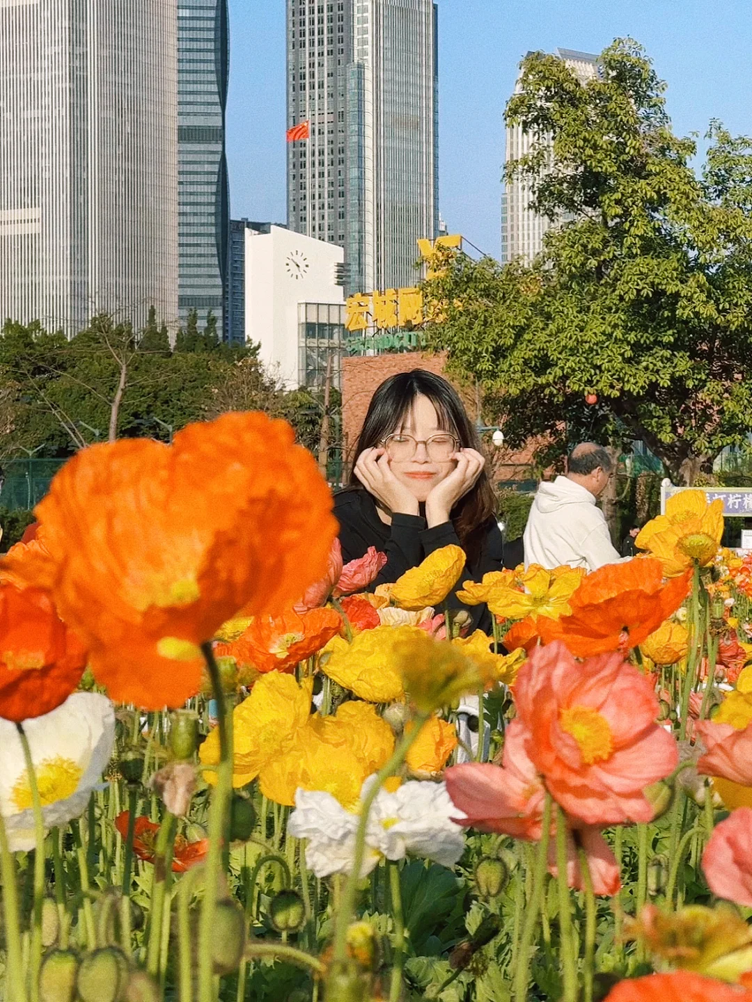 广州周末好去处｜虞美人开花了