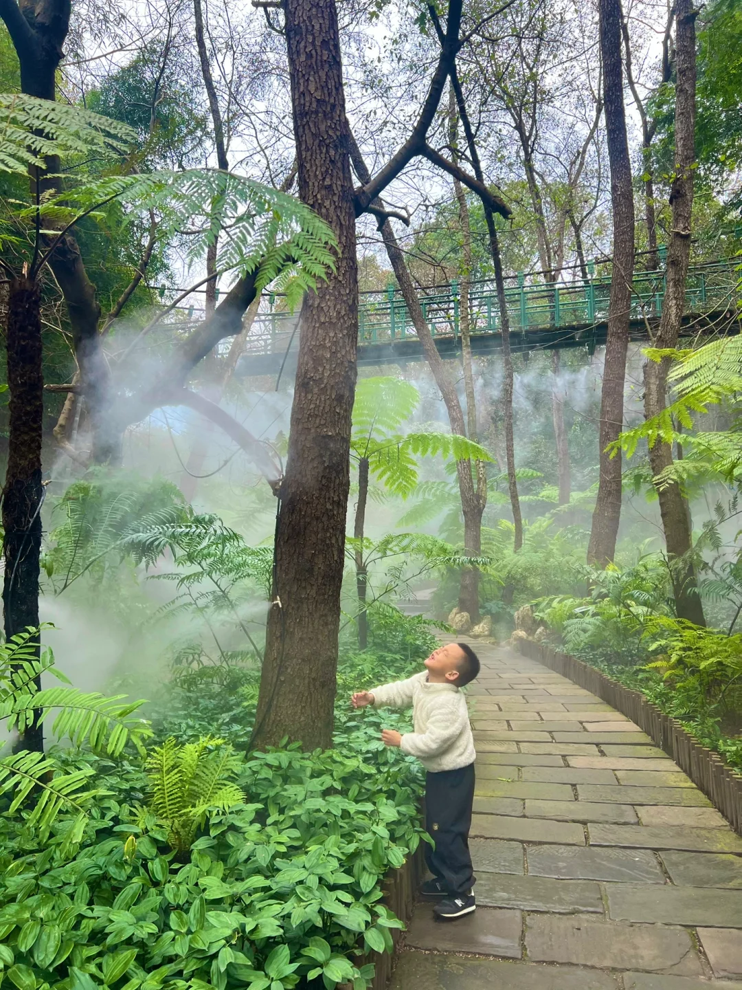 成都植物园春日赏花攻略‼️梅花虞美人开爆了