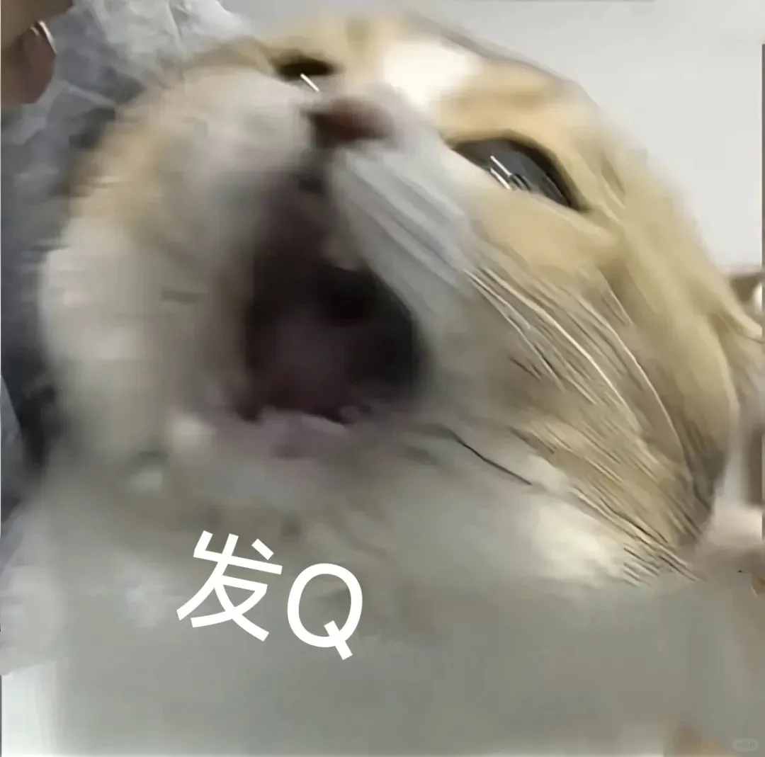 聊天专用猫猫表情包来喽～