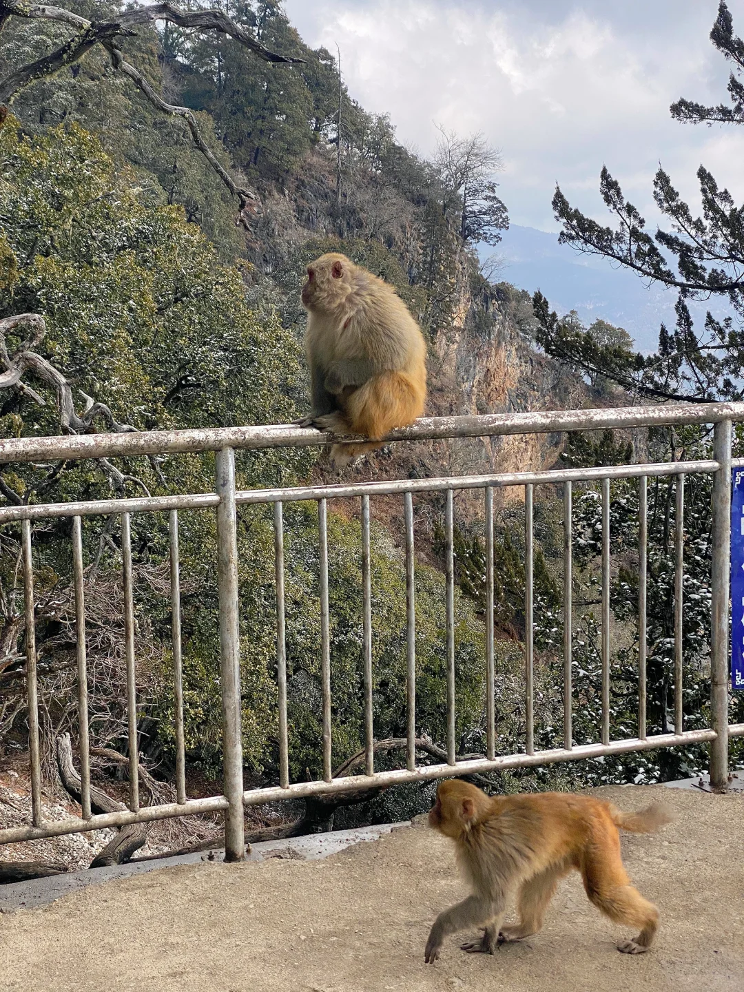 女神山的?们