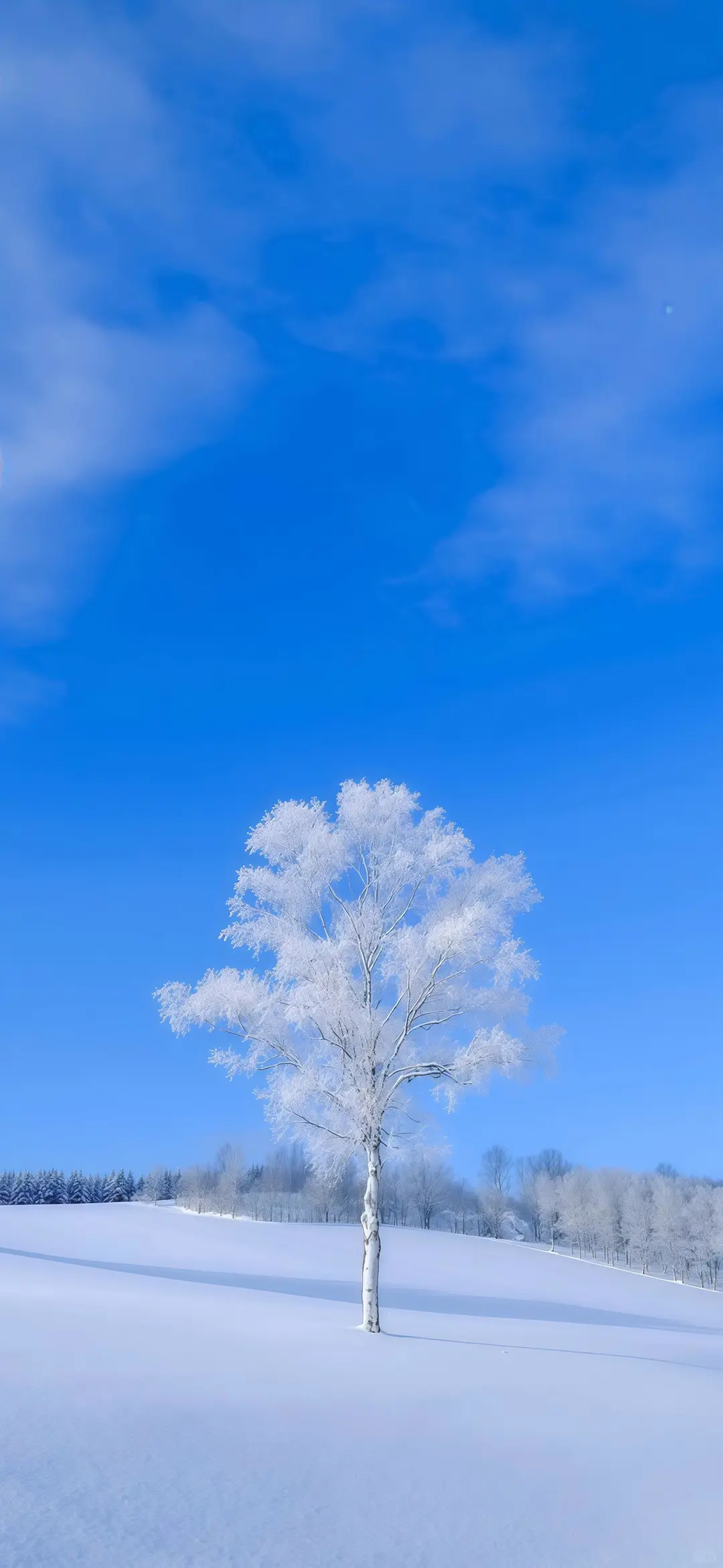 干净简约壁纸