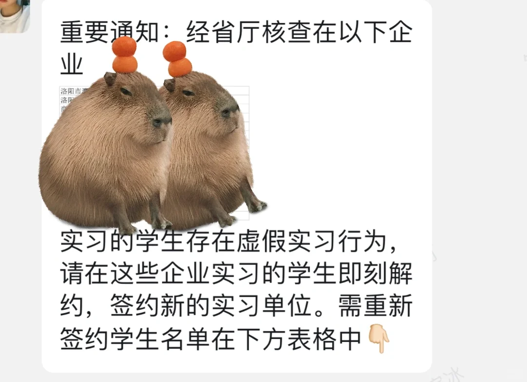 学校说虚假实习