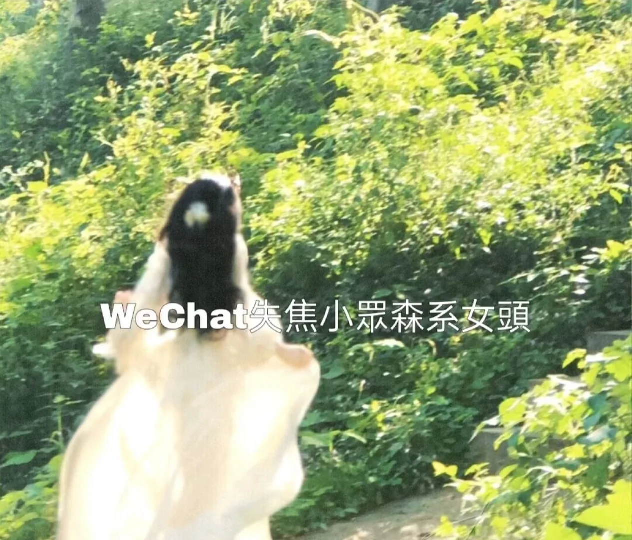 丢失在森林里的女头，失焦版