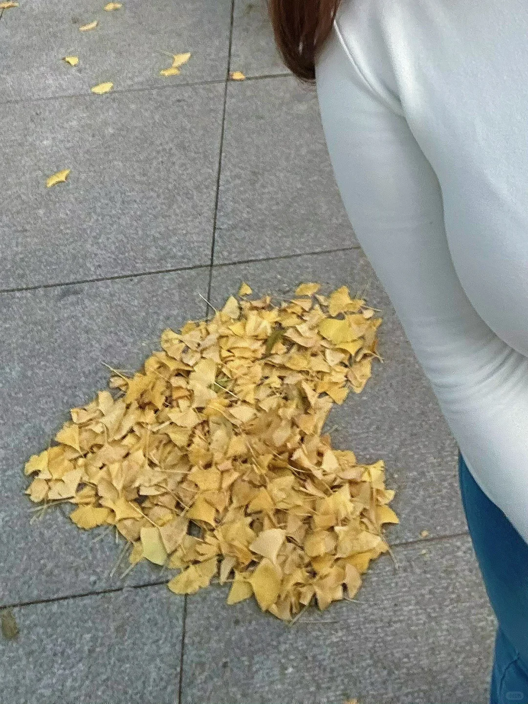 有一天我们去看树叶落下来🍂