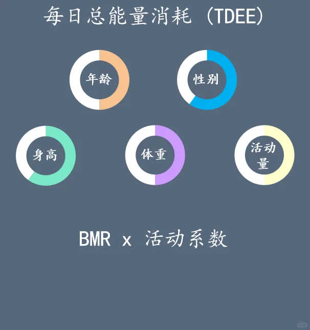 如何用deepseek 计算你的卡路里目标