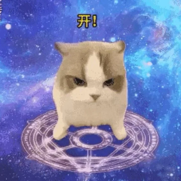 热门猫meme表情包动图版